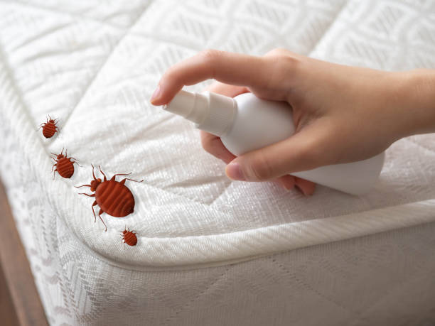 Best Pest Prevention Services  in Ridgeville, SC